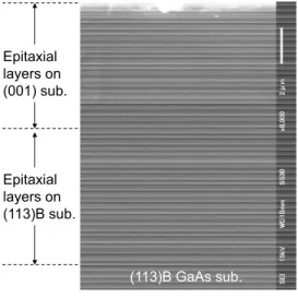 Fig. 3 Cross-sectional view of the wafer-bonded coupled multilayer cavity observed by SEM.