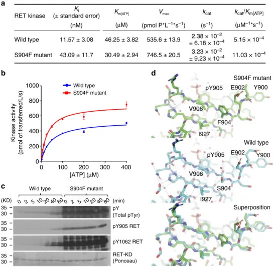 Fig. 3 Kinetic and structural properties of the RET-S904F mutant. a Enzyme kinetics parameters of wild type and S904F mutant RET KD proteins