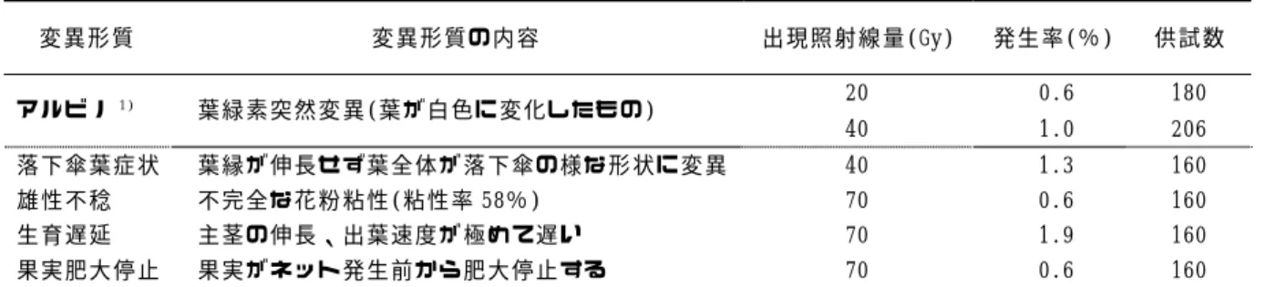 表 1  イオンビーム照射により温室メロンの M 2 世代に出現した変異  変 異 形 質   変 異 形 質 の 内 容   出 現 照 射 線 量 (Gy)  発 生 率 (％ )  供 試 数   20  0.6  180  ア ル ビ ノ 1) 葉 緑 素 突 然 変 異 (葉 が 白 色 に 変 化 し た も の )  40  1.0  206  落 下 傘 葉 症 状   葉 縁 が 伸 長 せ ず 葉 全 体 が 落 下 傘 の 様 な 形 状 に 変 異   40  1.3  160  雄