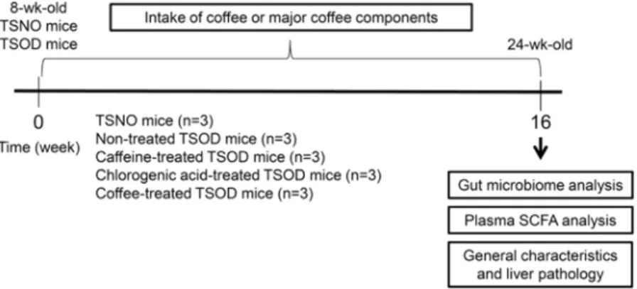 Figure 1.  Experimental flow chart. Animals were divided into five groups (n  =  3 in each group): TSNO mice; 