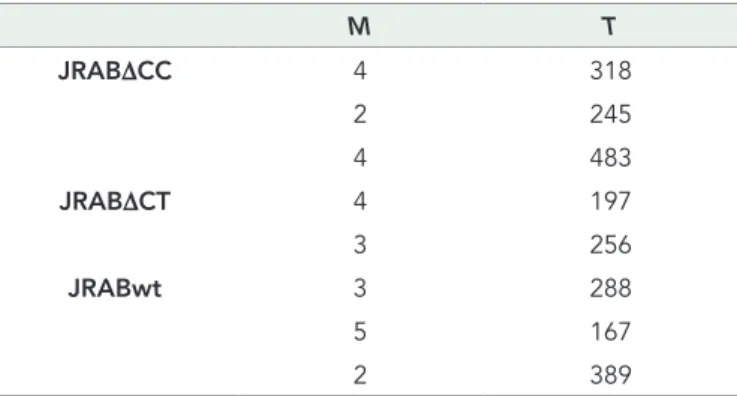 TABLE 1:  Temporal domain image size.