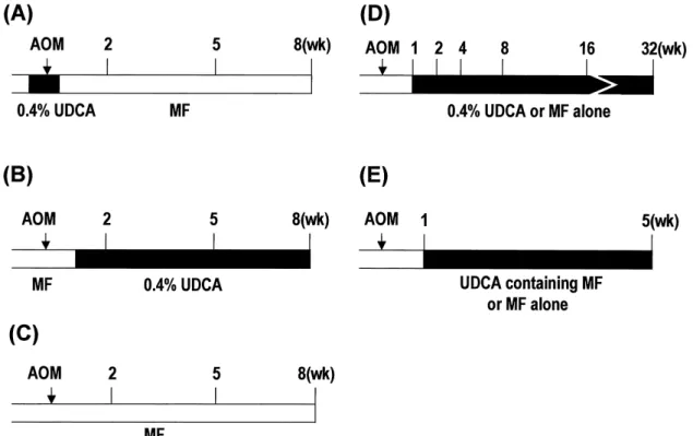 Fig. 1 Study protocols. (A) Study-1 (initiation), (B) Study-1 (post-initiation), (C) Study-1 (control)