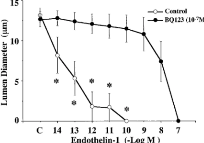 Fig. 5. Effect of endothelin-1(1-31) on the lumen diameter of microperfused afferent arterioles pretreated with BQ123(n=7), an ET A receptor antagonist, or BQ788(n=4), an ET B receptor antagonist