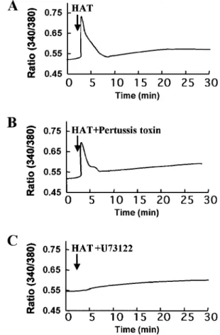 Fig. 7. Effects of pertussis toxin and U73122 on the rHAT-induced [Ca 2+ ] in increase in the HBEC