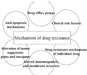 Table 1. Complete remission rate and event free survival rate in childhood and adult leukemia by recent therapy.