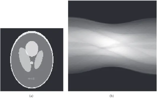 Figure 1: (a) Phantom image and (b) sinogram with noisy projection.