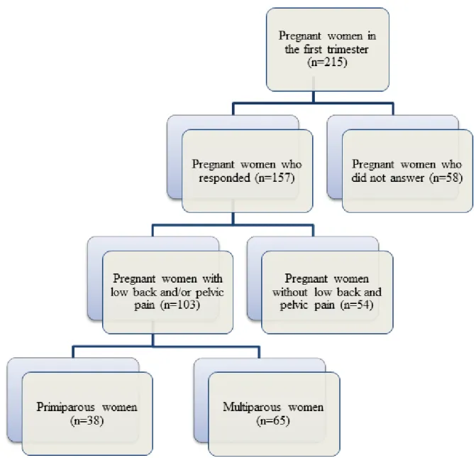 Figure 1. Classification of subjects. 