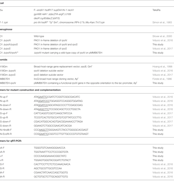 TABLE 1 | Bacterial strains, plasmids, and oligonucleotides used in the study.