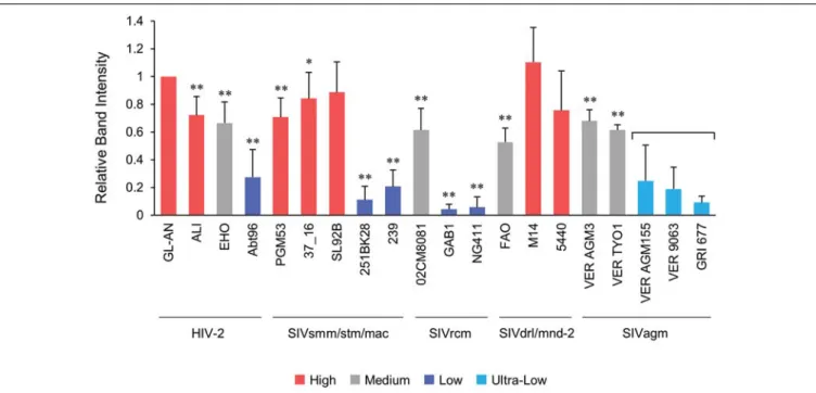 FIGURE 5 | Quantification of the Vpx/Vpr expression levels. Following visualization of blotted Vpx/Vpr proteins, the band intensities were determined by a densitometer, and the expression levels relative to that of HIV-2 GL-AN Vpx were calculated