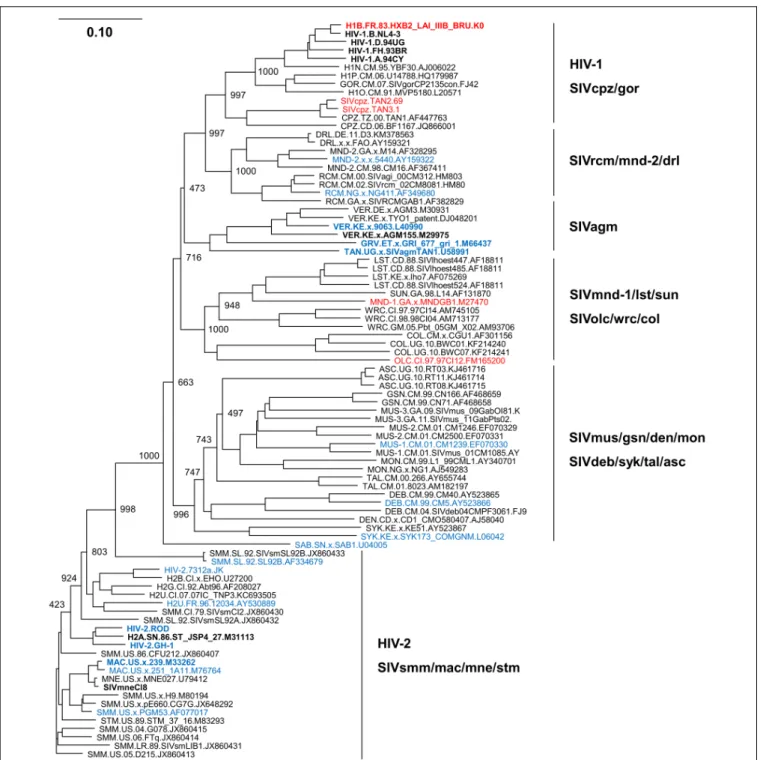 FIGURE 2 | Phylogeny of reverse transcriptase (RT) proteins derived from various HIV/SIVs