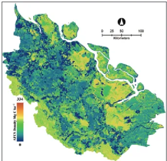 Figure 1 shows the AFCS baseline map for  the study area in which interesting spatial patterns  of AFCS ranging from > 0 to 334 Mg C ha –1  can be  observed