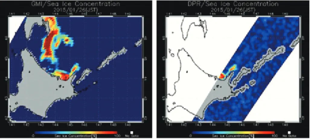 図 3 GMI 海氷密接度（左）、DPR 海氷密接度（右）。2015 年 1 月 26 日。