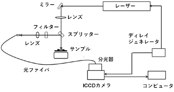 図 2 : LS-DP-LIBS の 実 験 概 略 図