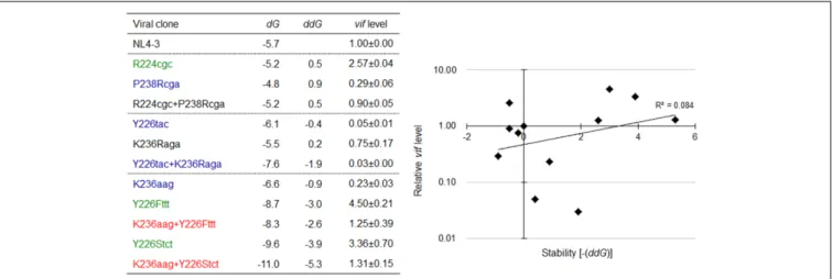 FIGURE 10 | Relationship between the vif expression level and SLSA1 RNA stability. SLSA1 variants in Figure 9 were analyzed for vif expressions and SLSA1 stabilities