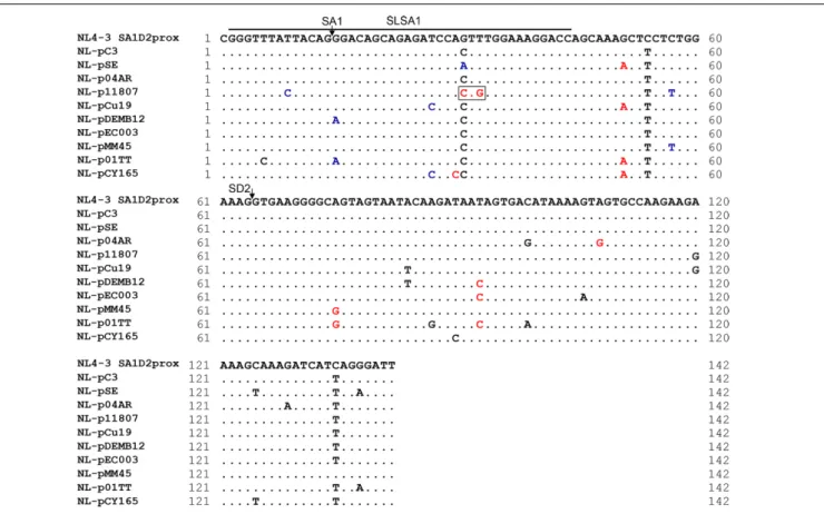 FIGURE 11 | Naturally occurring full-length SA1D2prox sequences analyzed in this study
