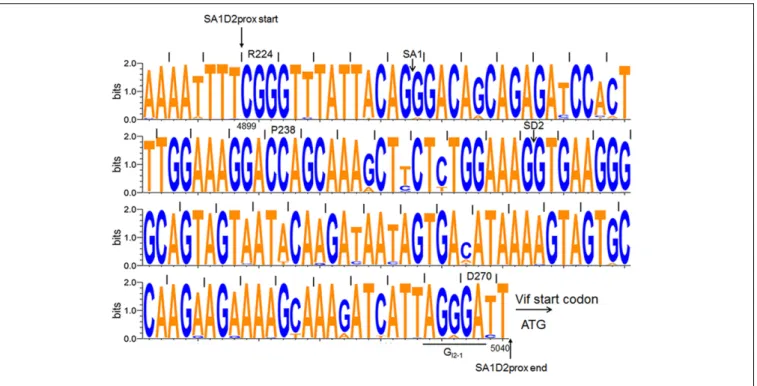 FIGURE 2 | Sequence alignment of SA1D2prox among HIV-1 subtype B viruses. Nucleotide sequence logo was created by WebLogo3 software
