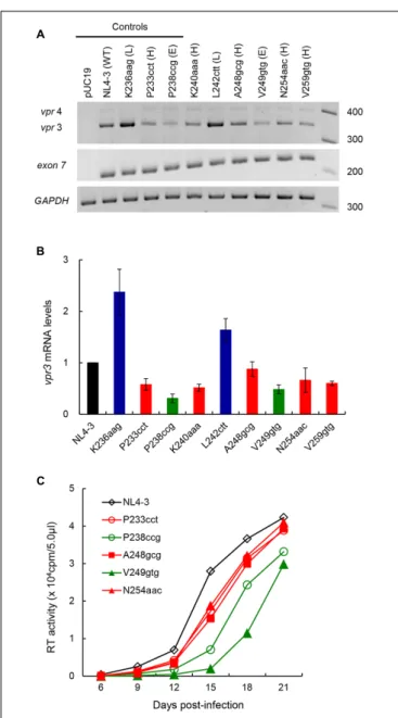FIGURE 4 | Effects of vif-affecting nSNVs on vpr expression and virus replication. (A) Vpr expression pattern