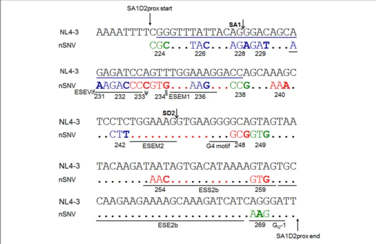 FIGURE 5 | Locations of nSNVs in SA1D2prox sequence (nucleotides 4899-5040 of HIV-1 NL4-3) that significantly alter vif expression level