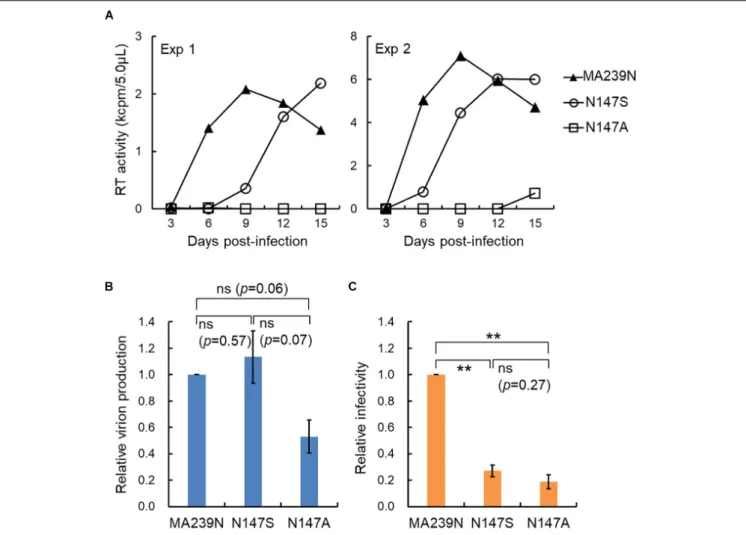 FIGURE 2 | Replication ability of SIVmac mutants with site-specific mutations in the Gag-CA linker region