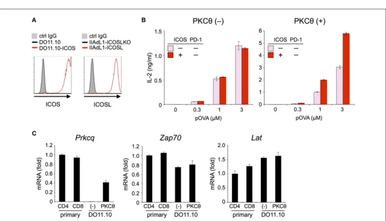 FIGURE 4 | CD28 co-stimulation. IL-2 and IFNγ secretion from pre-activated primary CD4 + (D) and CD8 + (E) T cells, respectively upon TCR-stimulation in the absence (left, black and gray) or presence (right, red and pink) of CD28 engagement