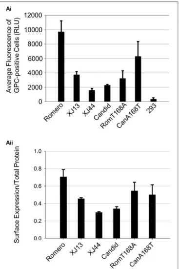 FIGURE 5 | Cell surface expression of JUNV GPC. Monolayers of HEK293 cells were transfected with CMV-driven expression plasmids previously used in triplicate (Figure 4)