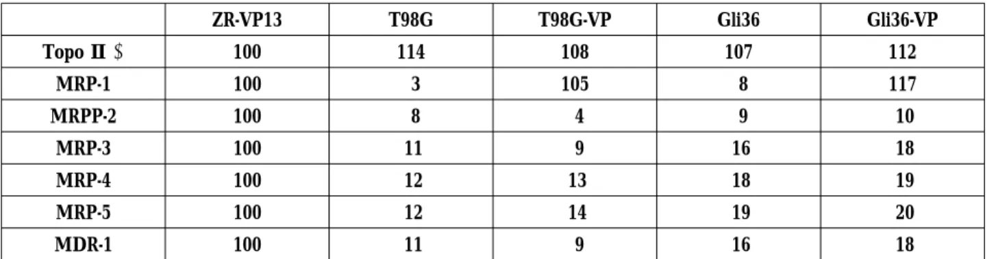 Table 2. Northern blot analysis of topoisomerase IIα, MRP1-5, and MDR-1 expression in drug resistant sublines and their parental cell lines ZR-VP13 T98G T98G-VP Gli36 Gli36-VP Topo Ⅱ α 100 114 108 107 112 MRP-1 100 3 105 8 117 MRPP-2 100 8 4 9 10 MRP-3 100