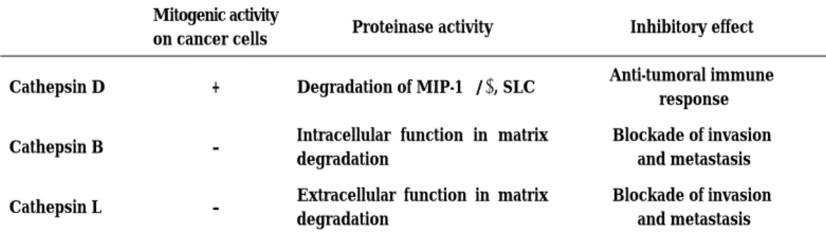 Table 2. Role of cathepsin D, B and L in tumor Mitogenic activity