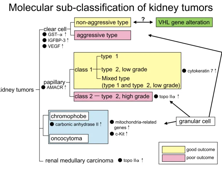 Figure 4 ．The idea of molecular sub-classification of kidney tumors is shown.