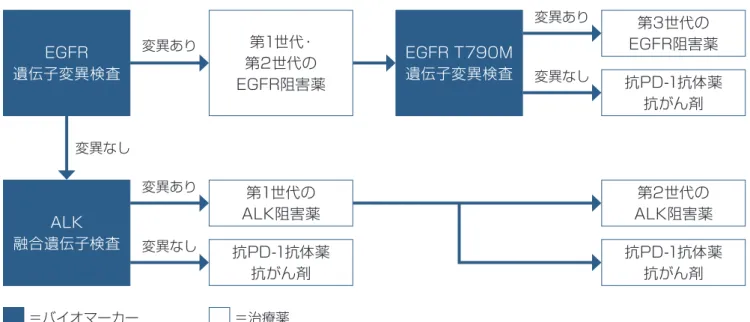 図表 7 バイオマーカーを使った非小細胞肺がんの治療薬選択の流れ（例） 　ALK融合遺伝子検査で陽性だった場合に は、がん細胞を増殖させるALK融合遺伝子 の働きを阻止するALKチロシンキナーゼ阻 害薬（ALK阻害薬）を使います（図表7）。 　EGFR遺伝子変異検査、ALK融合遺伝子検 査が両方とも陰性だったときには、免疫にブ レーキをかけている分子の働きを阻止する免 疫チェックポイント阻害剤の抗PD-1抗体薬 の使用を検討します。EGFR陽性、ALK陽性 の人も、それぞれ現時点で使えるEGF阻害 薬、AL
