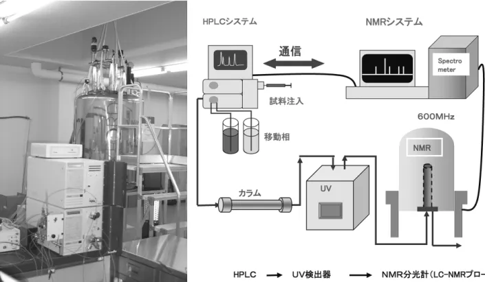 Figure 2 Schematic diagram of LC-NMR system (right) and a photograph of HPLC and magnet of LC-NMR apparatus (left).