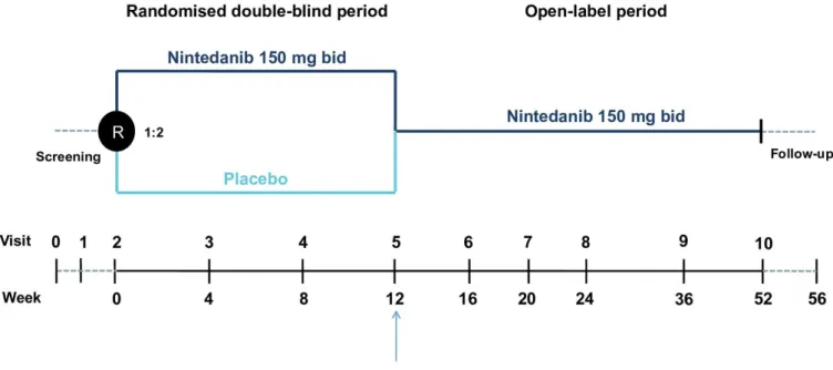 Figure 1  Design of the INMARK® trial.