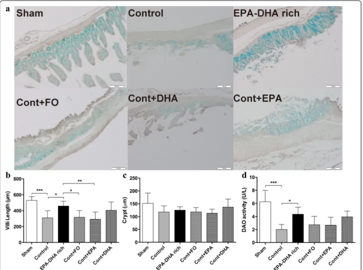 Fig. 4 Eicosapentaenoic acid (EPA) and docosahexaenoic acid (DHA) effectively protected against mucosal inflammation and integrity