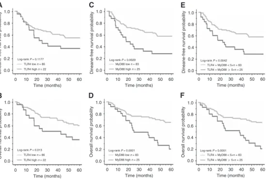 Figure 3 Kaplan – Meier survival curves of DFS and OS in patients with CRC according to TLR4 and MyD88 expression