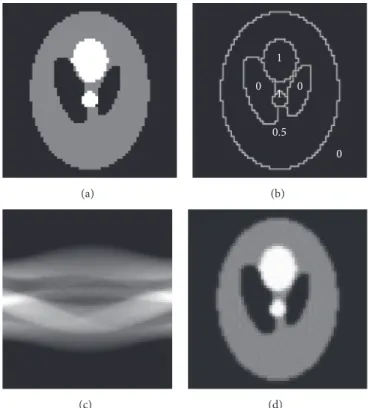 Figure 4: (a) Phantom image, (b) pixel value of each segment, (c) sinogram, and (d) reconstructed image obtained by FBP.