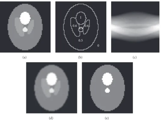 Figure 7: (a) Phantom image, (b) pixel value of each segment, (c) sinogram, (d) reconstructed image obtained by FBP, and (e) objective composited image.