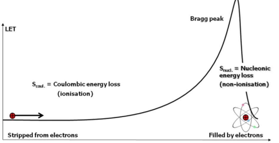 Fig. 4. Bragg curve behavior of the ionizing particle.