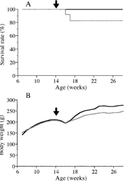 Fig. 2 . Amounts of 8-OHdG, GPX and catalase in the liver of LEC rats treated for 3 and 12 weeks (Experiment 2)