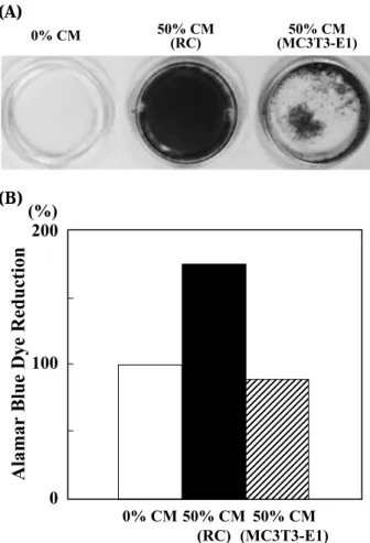 Fig. 3 Detection of type I collagen in the sedimented matrix.