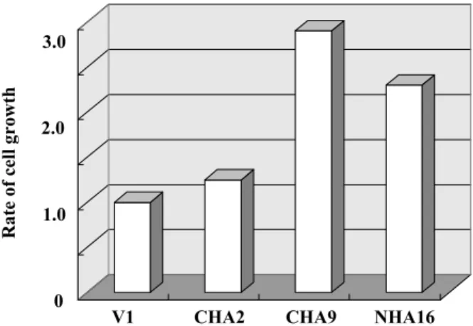 Fig. 6 Gene expression patterns of Sp family members and enamel proteins.