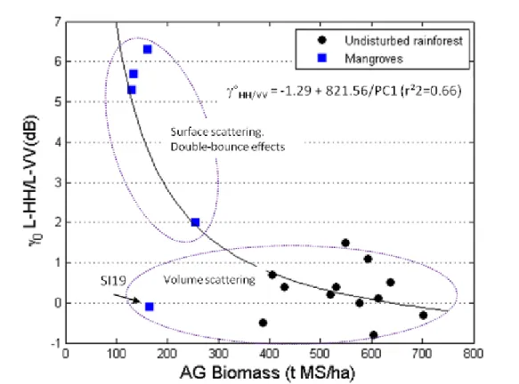 Figure A-8: Variation of the ratio ° L-HH / ° L-VV versus aboveground biomass for  both types of forest