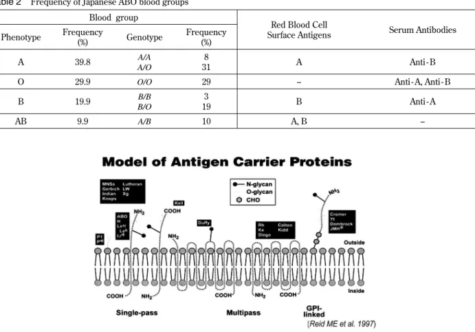 Table 2 Frequency of Japanese ABO blood groups Blood group