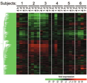 Fig. 1. Hierarchical clustering of gene expression pattern in peripheral blood cells after irradiation by 0.3 J/cm 2 NB - UVB.