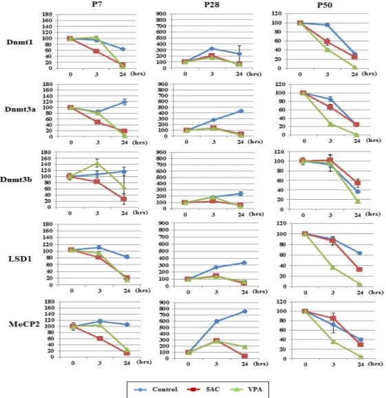 Figure 3.  Analysis of epigenetic-related gene expressions. C9 cells at P7, P28, and P50 were treated with either 5AC or VPA for  the indicated times