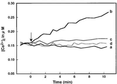 Fig. 2. Effects  of  polyamines  on  [Ca 2+ ] i  in DFMO-treated nonmi- nonmi-gratory cells