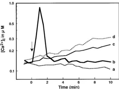 Fig. 5. Effects of ionomycin and nifedipine on [Ca 2+ ] i  of LC-AH cells.  DFMO-treated and indo 1-AM-loaded LC-AH cells were cultured on CPAE cell layers for 2 h