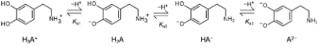 Fig. 1    Degradable catecholamines examined