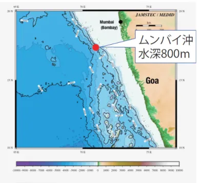 図 1：観測地点。 
