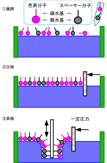 図 1：色素分子の凝集 