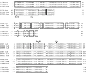 Fig. 4 Amino acid alignments of regulatory proteins Tat and Rev from NL- DT5R, - DT562 and - DT589
