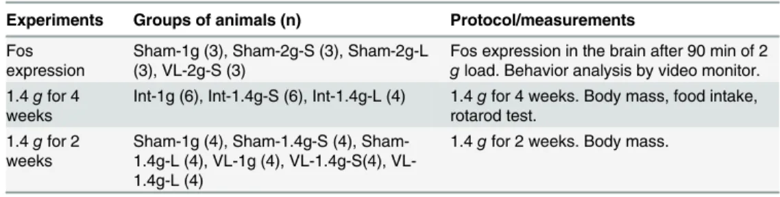 Table 1. Experimental groups established in this study.